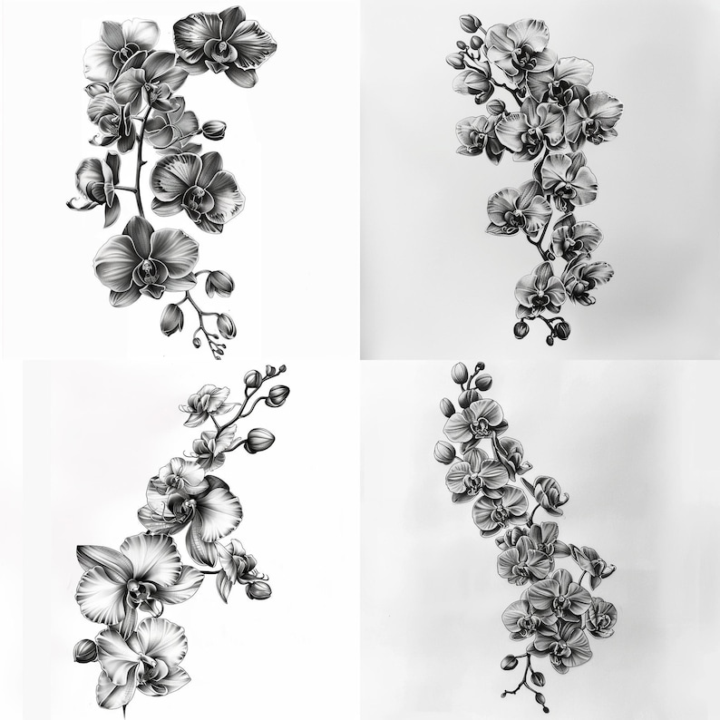 28 vackra orkidéer clipart, blommig illustration digital nedladdning, orkidéblommakonst, botanisk tryck clipart, blommor akvarell clipart bild 8