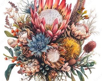 17 ramo de flores de protea, clipart de acuarela, clipart de flores silvestres, PNG de alta calidad, creación de tarjetas, planificador digital