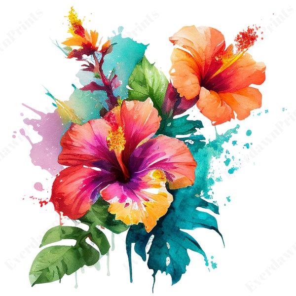 16 Watercolor Hibiscus Flowers Clipart, High Quality Transparent PNG, Clipart, Floral Clipart, Flower Cliparts