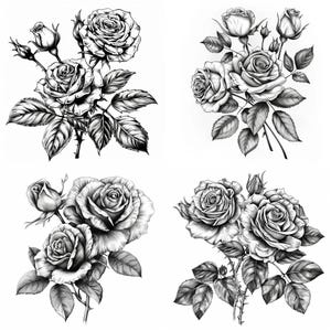 Op de afbeelding: Vier zwart-witte potloodtekeningen van rozen met stelen en bladeren. Elke tekening toont een andere opstelling van rozen.