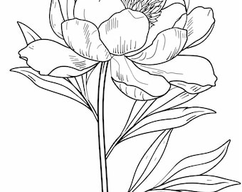 38 Flower Clip Art, Floral Digital Download, Botanical Outline, Printable Wall Art, Floral Coloring Page, Peony Line Art, Instant Download