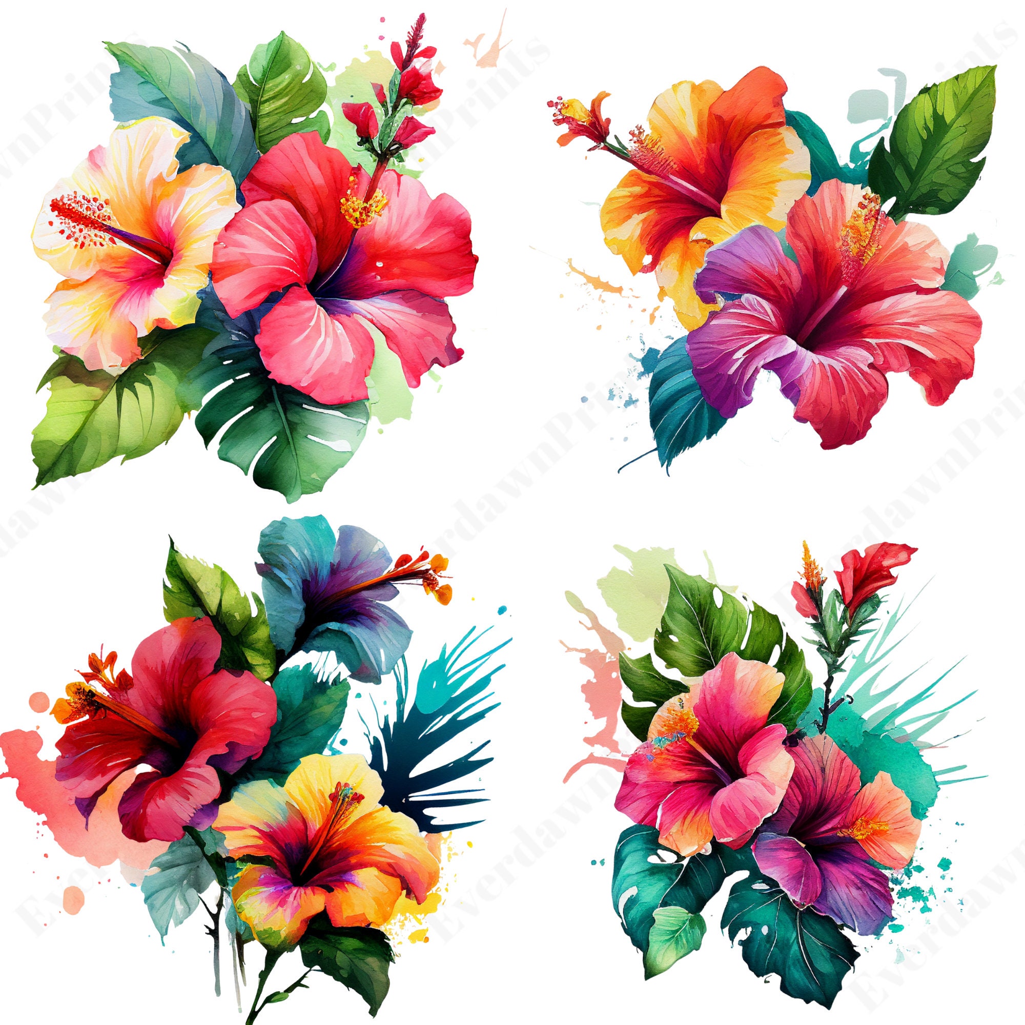 16 Watercolor Hibiscus Flowers Clipart, High Quality Transparent PNG ...
