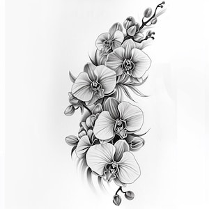 28 vackra orkidéer clipart, blommig illustration digital nedladdning, orkidéblommakonst, botanisk tryck clipart, blommor akvarell clipart bild 1