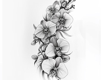 28 Beautiful Orchid Clipart, Floral Illustration Digital Download, Orchid Flower Art, Botanical Print Clipart, Flowers Watercolor Clipart