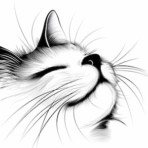 24 Cat Clipart, Black and White Art, Pet Illustration, Feline Image, Minimalist Design, Vector Graphic, Commercial Use, Digital Download