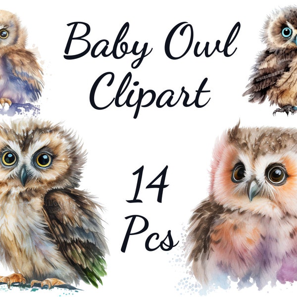 14 Baby Owl Clipart, High Quality Transparent PNG, Watercolor, Card Making, Digital Planner, Digital Paper Craft