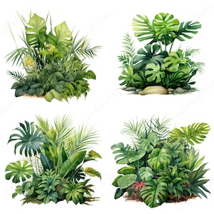 Detailed watercolor depiction of a palm leaf with visible veins