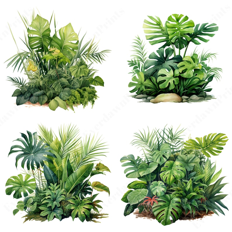 Detailed watercolor depiction of a palm leaf with visible veins