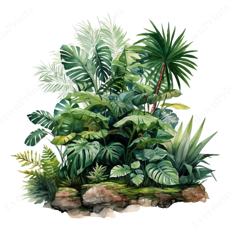 Set of assorted tropical leaves including ferns and palms in watercolor