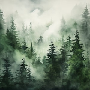 Op de afbeelding: Een aquarel schilderij van een mistig bos met hoge groenblijvende bomen. De bomen zijn geschilderd in tinten groen en de mist is een zacht wit.
