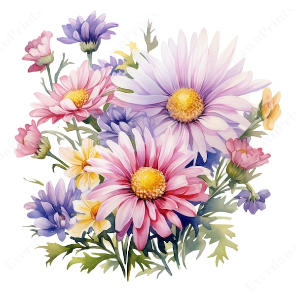 21 Aster Flowers Watercolor Clipart, High Quality Transparent PNG, Clipart, Floral Clipart, Flower Cliparts