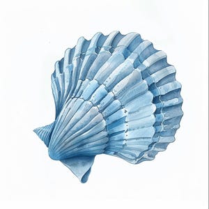 May include: A watercolor painting of a blue seashell with a detailed, textured surface.