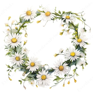 49 Clipart fleurs marguerite aquarelle, clipart floral sauvage, bordures florales, couronne de fleurs, fabrication de cartes, fleurs PNG, téléchargement immédiat