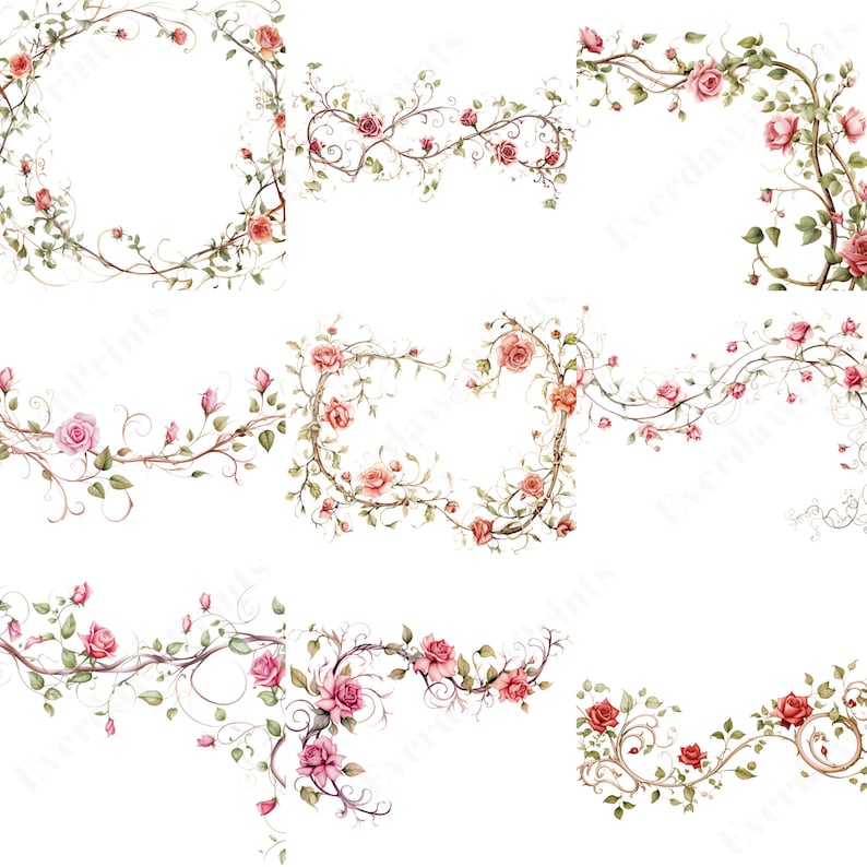 12x12 Roses Border 75 Watercolor Rose Vine Borders, Watercolor Floral Borders, Wild ...