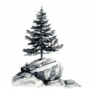 24 Pine Tree Clipart, Black and White Tree on Rock Image, Hand Drawn Tree Art, Rustic Illustration, Digital Download, Forest Clipart