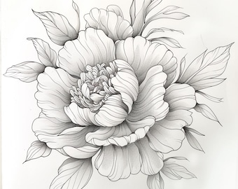 Può includere: Un disegno dettagliato a matita in bianco e nero di un singolo fiore di peonia con foglie.