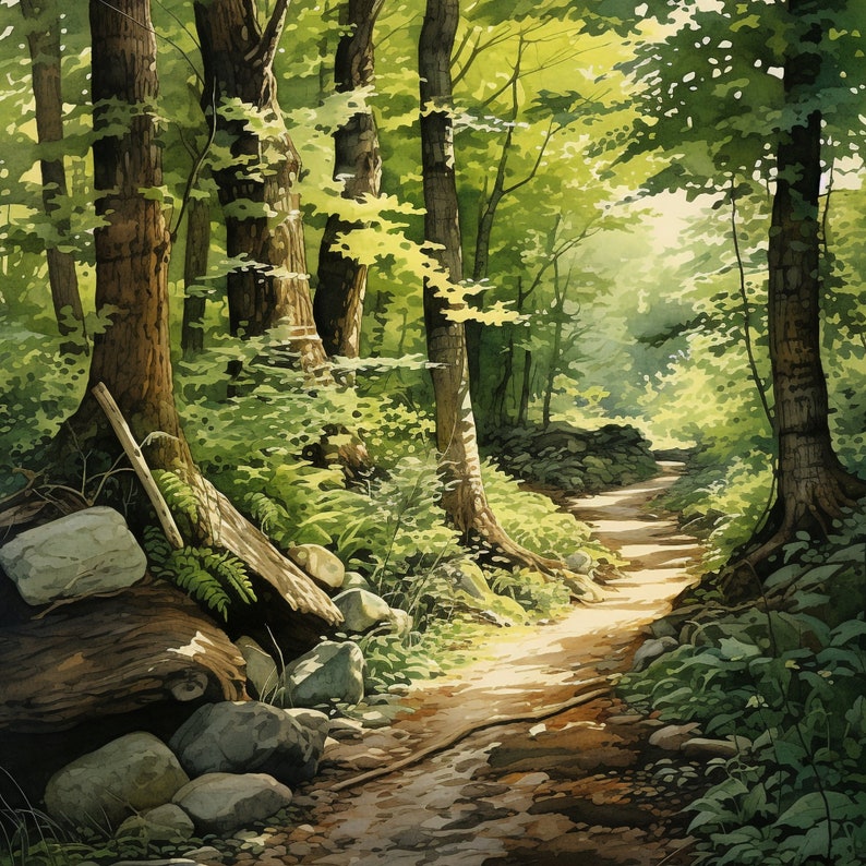 May include: A watercolor painting of a forest path winding through a lush green forest. Sunlight filters through the trees, illuminating the path and creating a sense of depth and mystery.