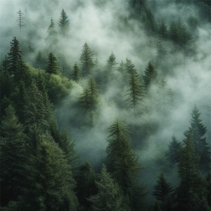 28 Clipart foresta nebbiosa, sfondo foresta acquerello, PNG di alta qualità, 300 dpi, Clipart foresta acquerello, creazione di biglietti, pianificatore digitale