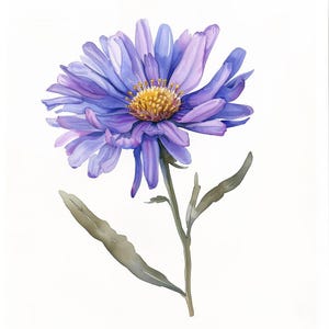 24 clipart de flores roxas em aquarela, ilustração floral pintada à mão, arte de flor única, materiais para artesanato faça você mesmo, download digital