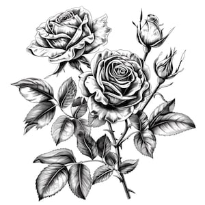 Op de afbeelding: Zwart-witte lijntekening van een rozenboeket met drie rozen en knoppen, met gedetailleerde bladeren en stelen.