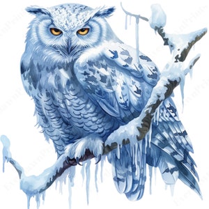 14 Clipart majestueux hibou de l'Arctique, PNG Transparent de haute qualité, aquarelle, fabrication de cartes, agenda numérique, créations numériques en papier