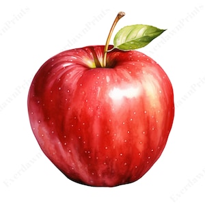 Clipart Apple acquerello, 24 PNG trasparenti di alta qualità, PNG Apple, acquerello, pianificatore digitale, creazione di carta digitale