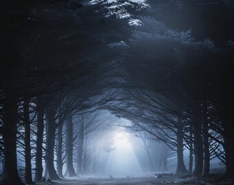 24 Ethereal Forest Clipart, Moody Woods Scene, Mystical Landscape Art, Dark Forest Image, Digital Download, Commercial Use