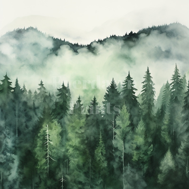 Op de afbeelding: Een aquarel van een mistig bos met hoge groenblijvende bomen. De mist is dik en verhult de toppen van de bomen, waardoor een gevoel van mysterie en diepte ontstaat.