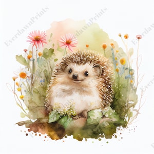 12 clipart de ouriço feliz, PNGs transparentes de alta qualidade, aquarela, arte de berçário, planejador digital, aquarela, criação de cartão, registro no diário, escavação