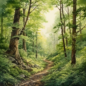 May include: A watercolor painting of a forest path leading into a grove of trees. The path is lined with lush green foliage and the trees are tall and slender with a bright green canopy.