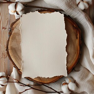 24 Clipart di fiori di cotone, Clipart di fette di legno, Clipart di bordi di carta strappati, Clipart rustici, Clipart in stile fattoria, Clipart di carta bianca