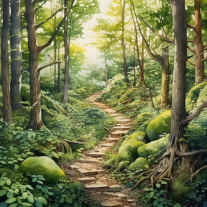 May include: A watercolor painting of a stone path winding through a lush green forest. The path is lined with tall trees and ferns, and the sunlight filters through the leaves, creating a dappled effect.