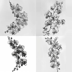 28 vackra orkidéer clipart, blommig illustration digital nedladdning, orkidéblommakonst, botanisk tryck clipart, blommor akvarell clipart bild 7