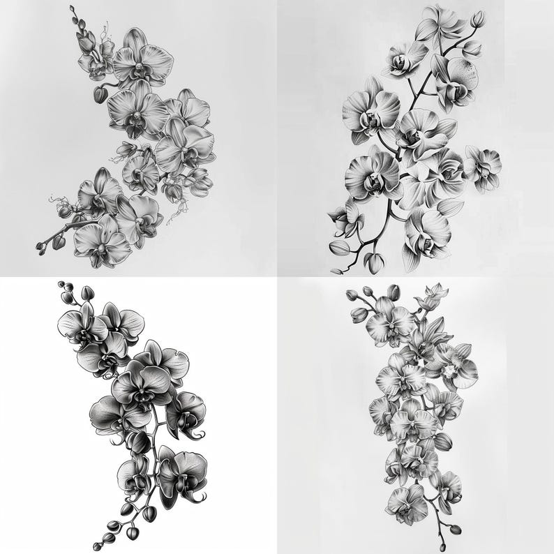 28 vackra orkidéer clipart, blommig illustration digital nedladdning, orkidéblommakonst, botanisk tryck clipart, blommor akvarell clipart bild 7