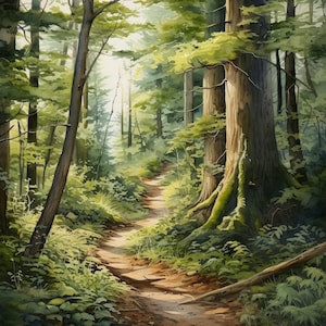 May include: A watercolor painting of a forest path leading through a lush green forest. The path is lined with tall trees and ferns, and the sunlight filters through the leaves, creating a dappled effect.