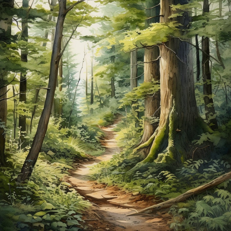 May include: A watercolor painting of a forest path leading through a lush green forest. The path is lined with tall trees and ferns, and the sunlight filters through the leaves, creating a dappled effect.