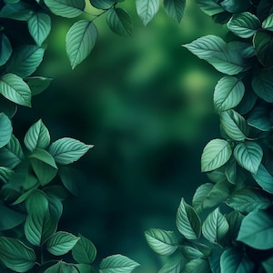 May include: A close-up of lush green leaves framing a dark green background. The leaves are arranged in a circular pattern, creating a natural frame.