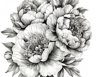 Può includere: Un disegno a matita in bianco e nero di un bouquet di peonie. Le peonie sono in piena fioritura e hanno petali delicati. Il disegno è dettagliato e realistico.