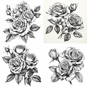 Op de afbeelding: Vier zwart-wittekeningen van rozen met bladeren en stelen. Elke tekening toont een andere opstelling van rozen.