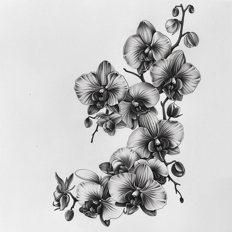 28 vackra orkidéer clipart, blommig illustration digital nedladdning, orkidéblommakonst, botanisk tryck clipart, blommor akvarell clipart bild 5