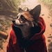 BohemianDesign