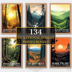 134 impressões da Floresta Nacional dos EUA, pôster da Floresta Nacional, decoração de parede de viagem, pôster de viagem retrô, pôster de escritório, decoração de casa, download digital