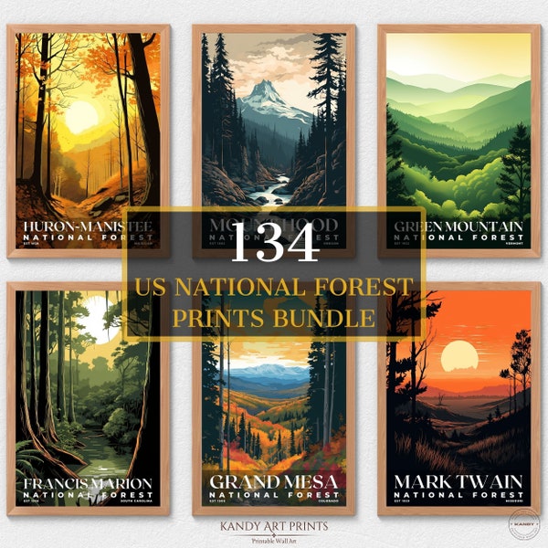 134 US National Forest Prints, National Forest Poster, Travel Wall Decor, Retro Travel Poster, Office Poster, Home Decor, Digital Download