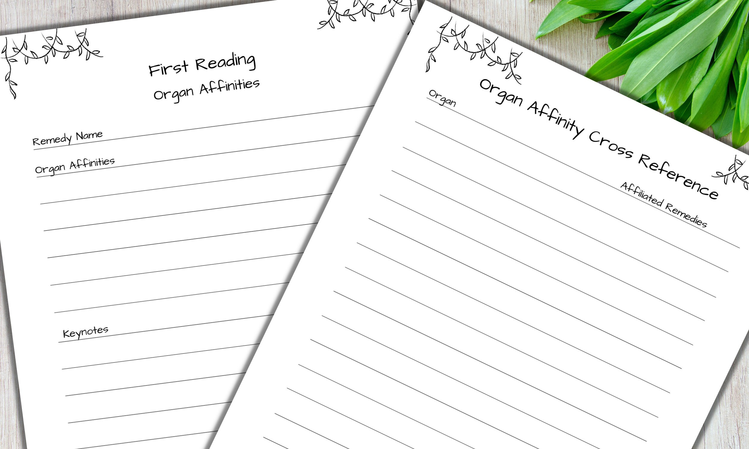 Homeopathy Materia Medica Journal, Printable Remedy Study Guide - Etsy