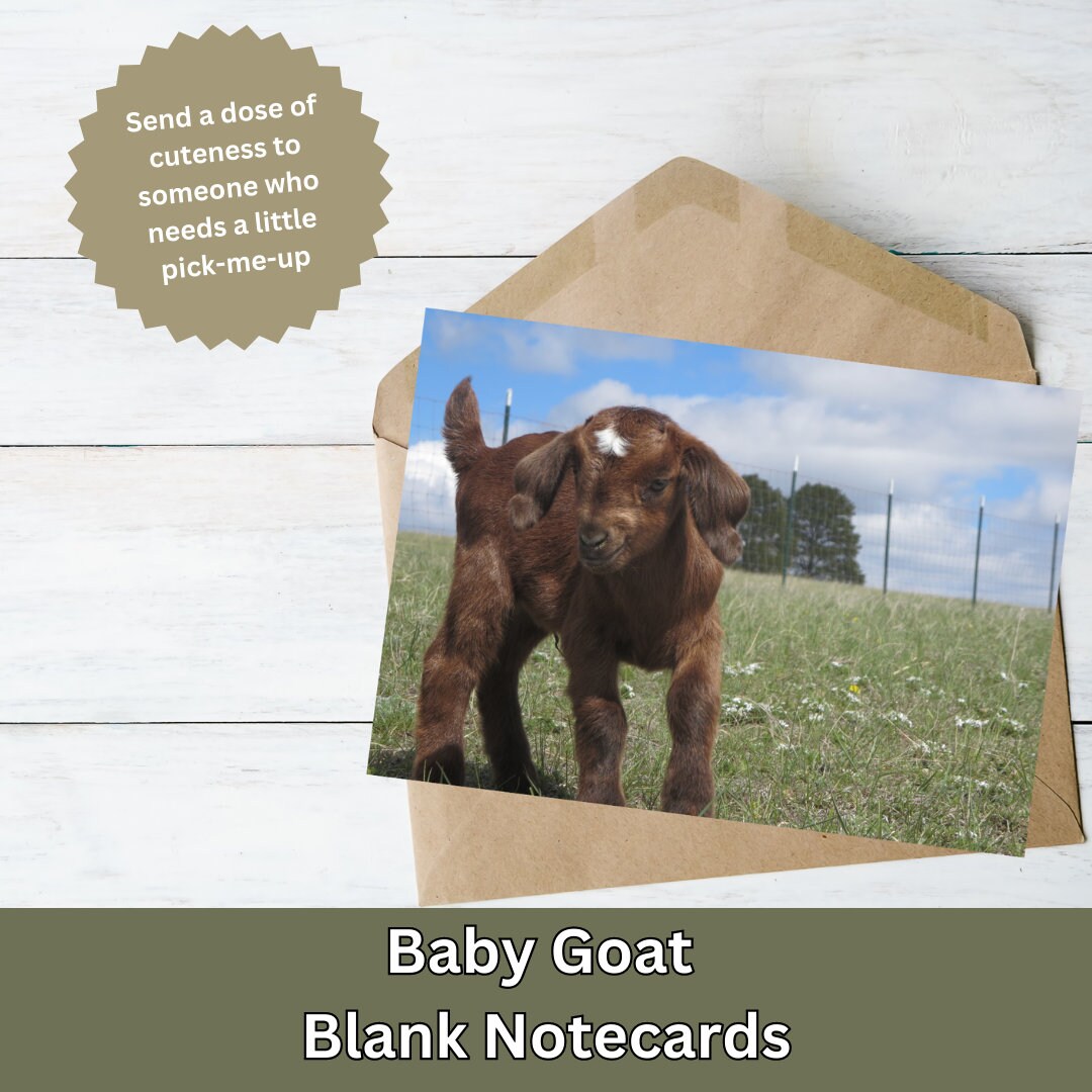 Blank Note Cards, Printable Note Cards