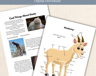 May include: Two educational sheets titled Learn About Goats! Digital Download. One sheet features text Cool Things About Goats with photos of a goat and goat meat stew. The other sheet shows a diagram titled Anatomy with a cartoon goat and labels.