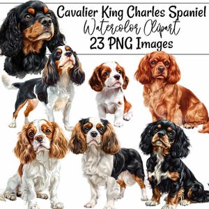 Cavalier King Charles Spaniel Clipart Welpe Hund Illustration Hunderasse Sofortiger Download Digital Kunst Download Tierliebhaber Kunst CKCS Spaniel