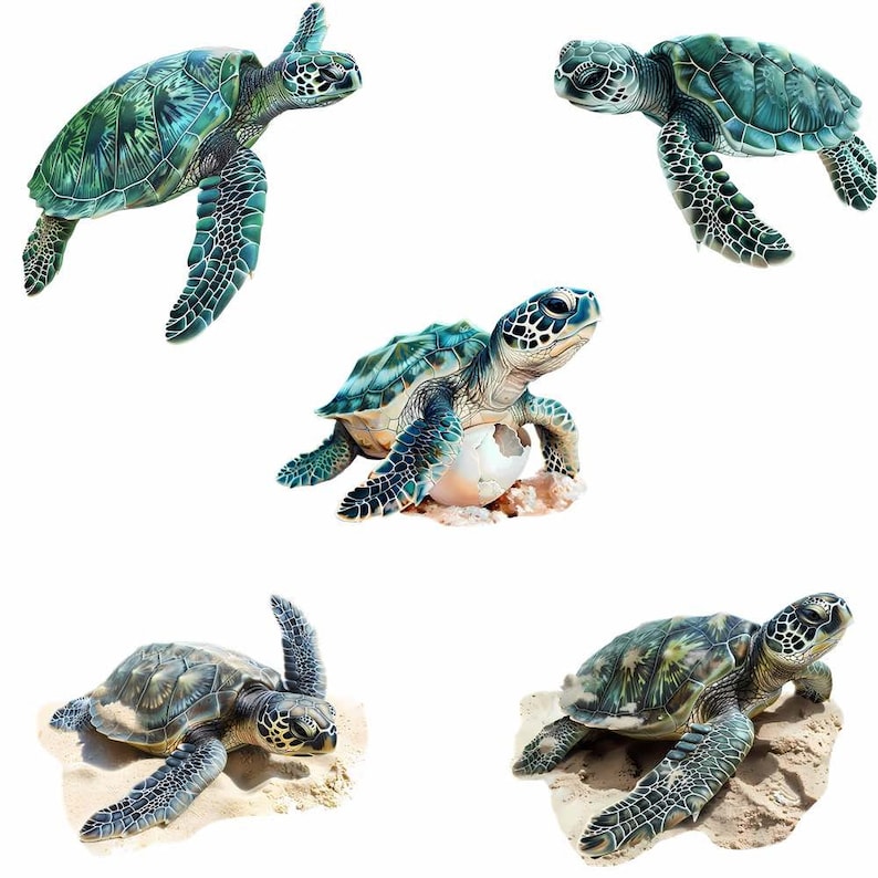 May include: Five green sea turtles, one with a broken eggshell, on a white background.