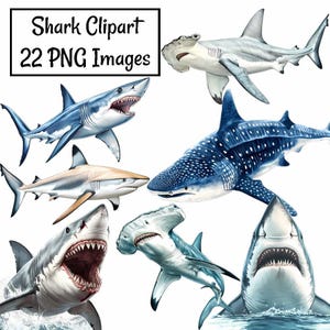 Shark Sea life Ocean Watercolor Clipart Transparent Background Digital Downloads Great White Bull Mako Nurse Whale Tiger Thresher Fish