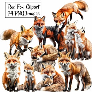 Red Fox Watercolor Clipart Digital Downloads, 24 Designs Wildlife Animal Forest Woodland Clipart ,Transparent Background, Art Prints